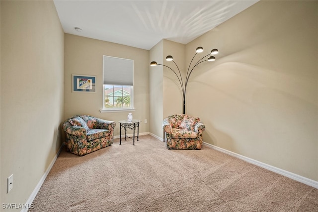 sitting room with carpet flooring