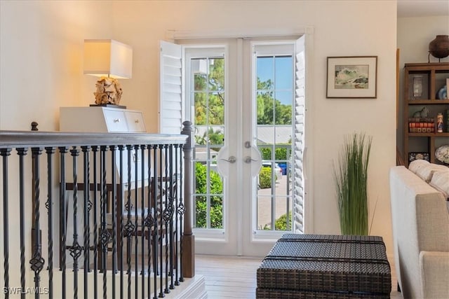 doorway featuring plenty of natural light and french doors