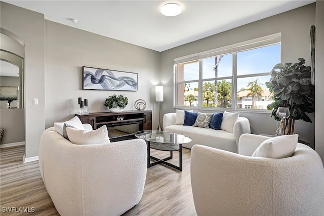 living room featuring light hardwood / wood-style flooring