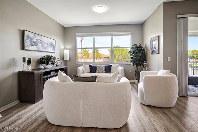 living room with wood-type flooring and plenty of natural light