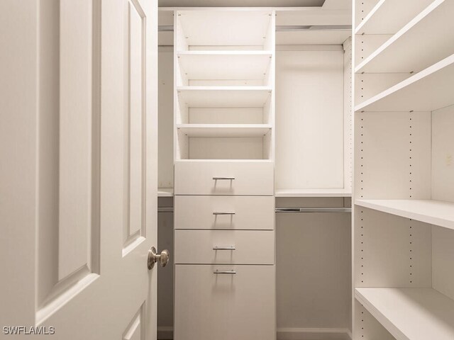 view of spacious closet