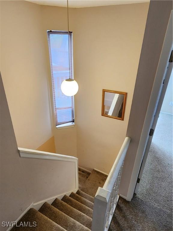 stairway with carpet floors