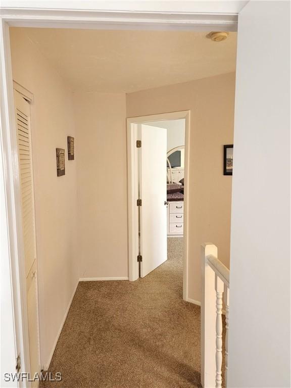 hallway featuring carpet floors