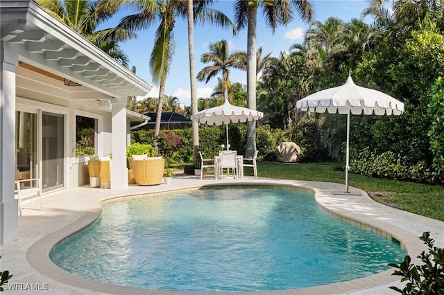 outdoor pool featuring a patio area