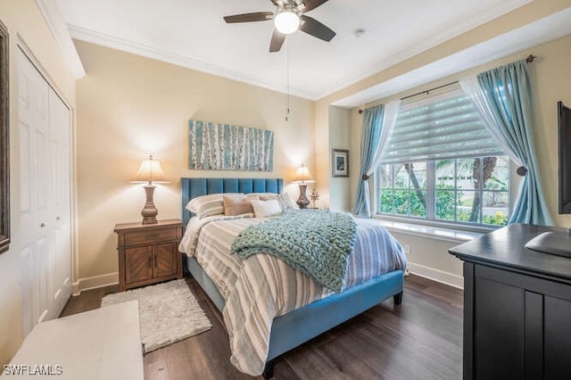 bedroom with ceiling fan, dark wood-type flooring, a closet, and crown molding