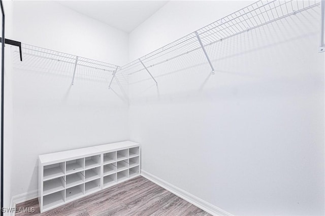 spacious closet featuring hardwood / wood-style floors