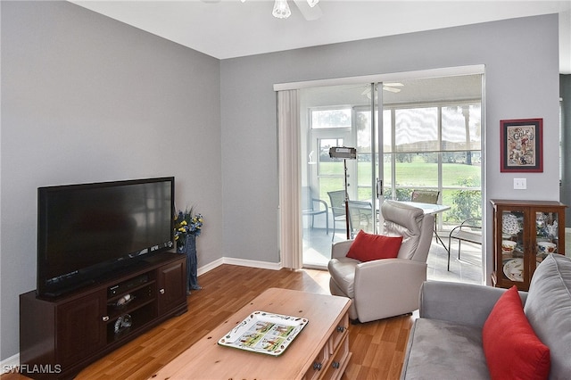 living room featuring ceiling fan and light hardwood / wood-style flooring