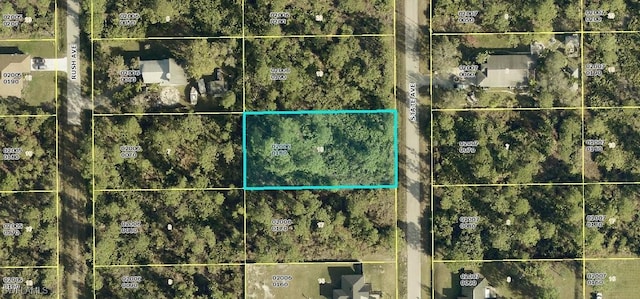 Listing photo 2 for 811 State Ave, Lehigh Acres FL 33972