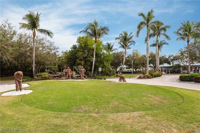 view of community with a lawn