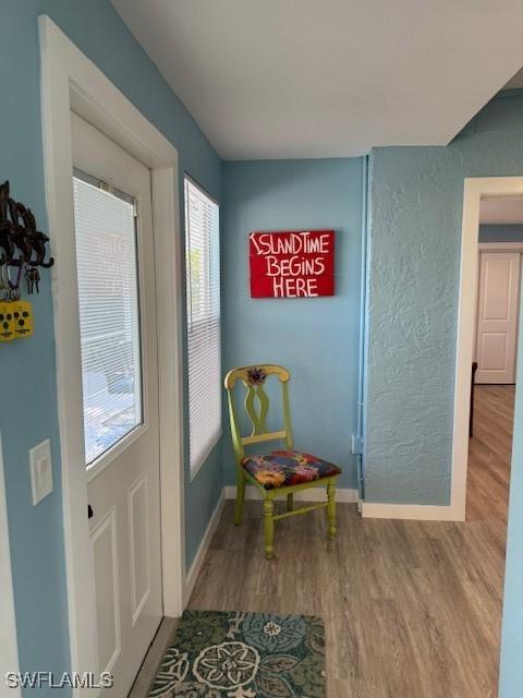 entryway featuring baseboards and wood finished floors