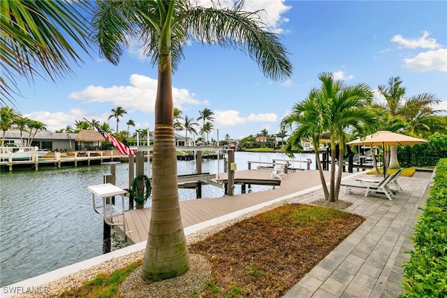 dock area with a water view