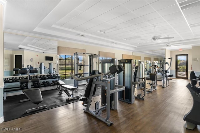 workout area featuring dark wood-type flooring, a raised ceiling, and ceiling fan