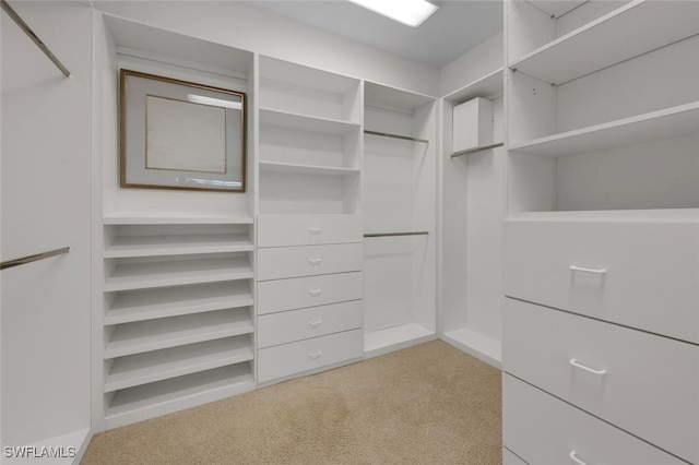 spacious closet featuring light colored carpet