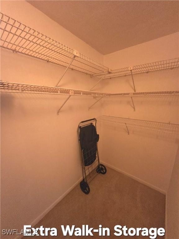 spacious closet with carpet