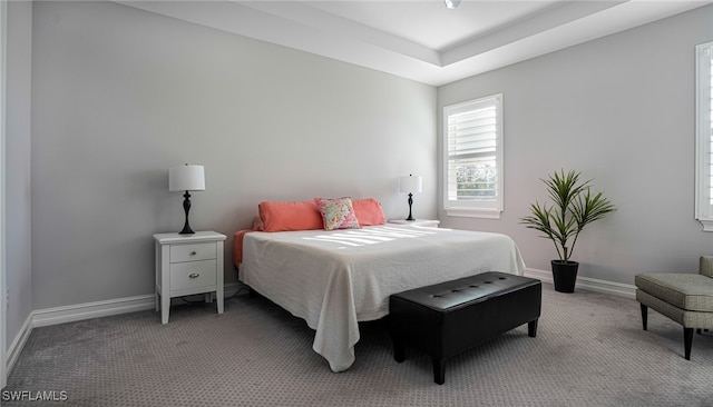 carpeted bedroom featuring a raised ceiling