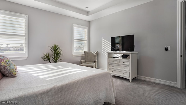 bedroom featuring carpet