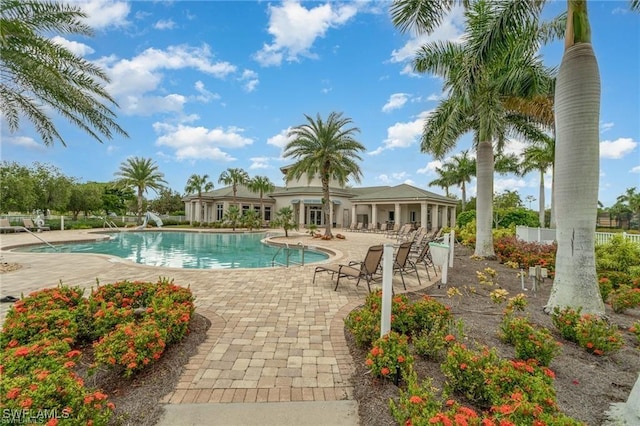 view of pool with a patio area