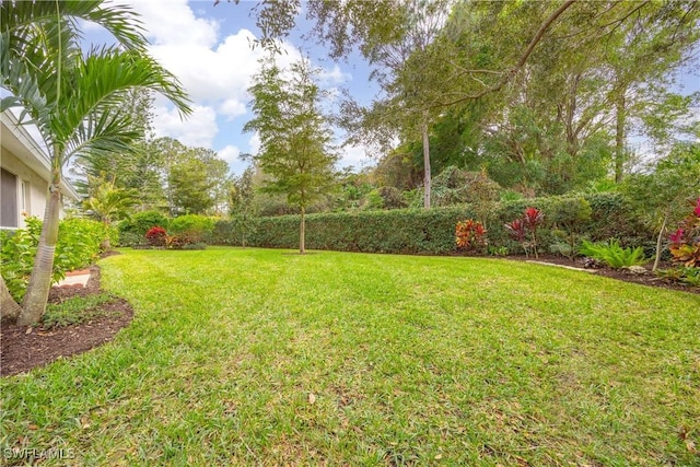 744 Belville Blvd, Naples, FL 34104 - view of yard
