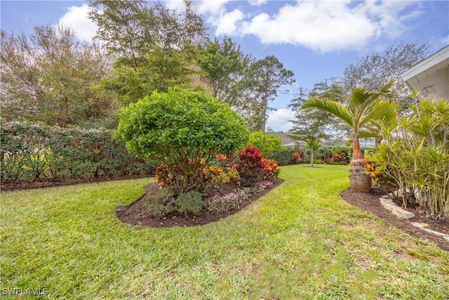 744 Belville Blvd, Naples, FL 34104 - view of yard