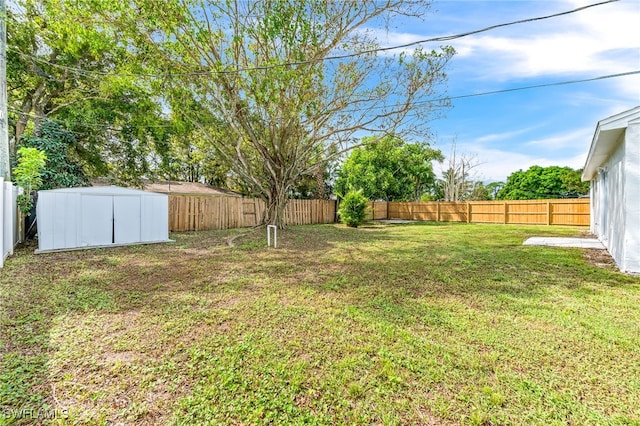 view of yard with a storage unit, an outdoor structure, and a fenced backyard