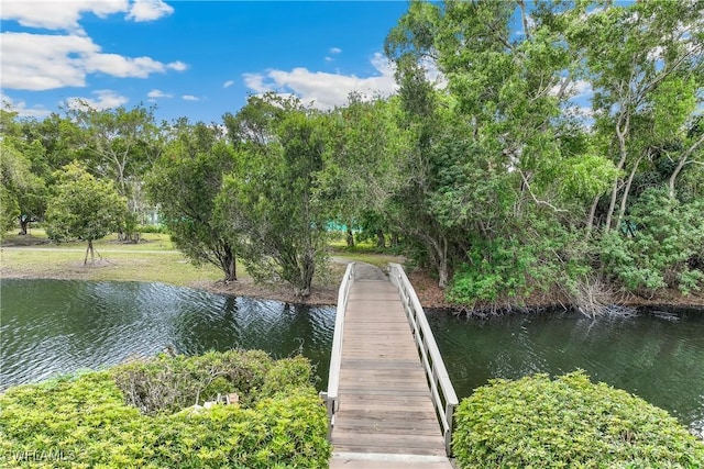 dock area with a water view