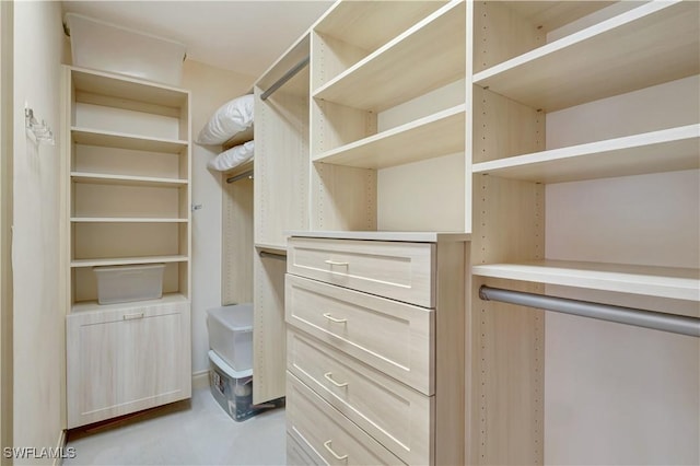 view of spacious closet