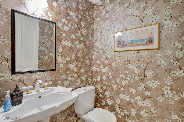 bathroom featuring sink and toilet