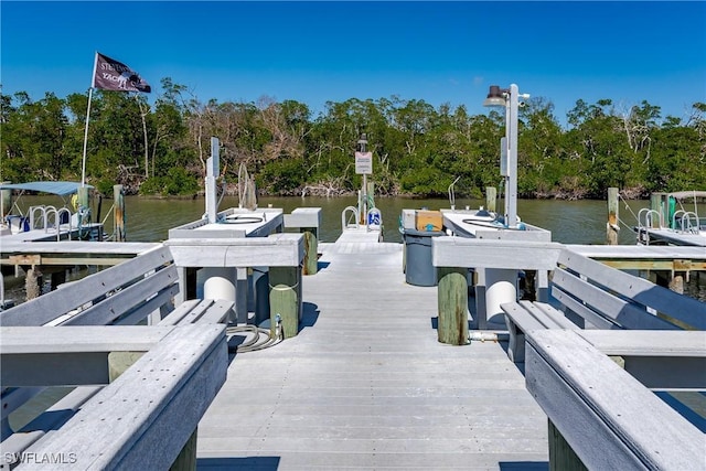 dock area featuring a water view