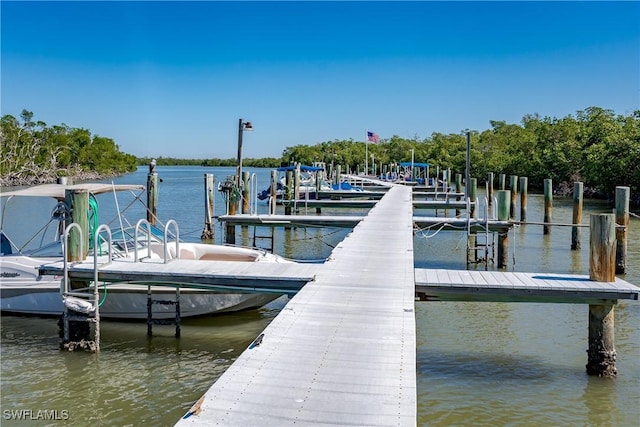 dock area with a water view