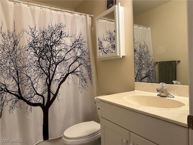 bathroom with vanity and toilet