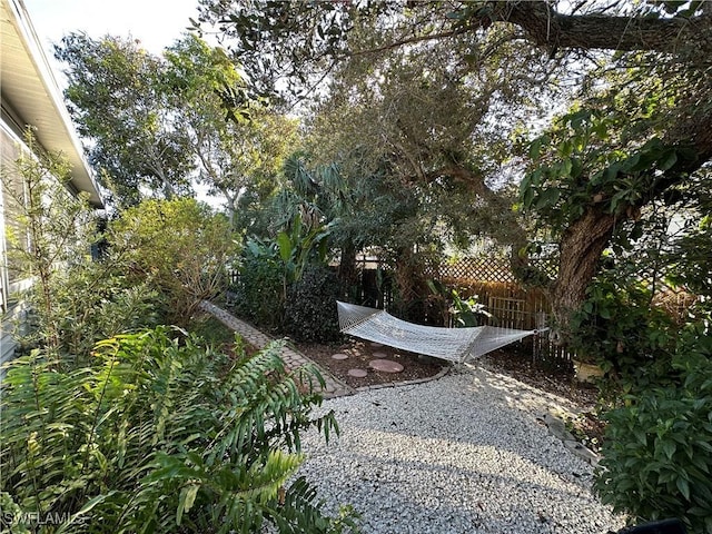 view of yard with a patio area