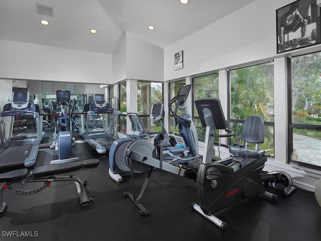 gym featuring lofted ceiling and plenty of natural light