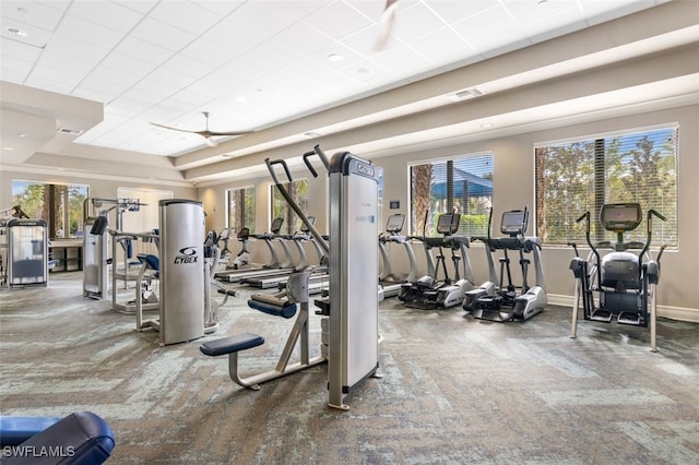 exercise room with a raised ceiling and a wealth of natural light