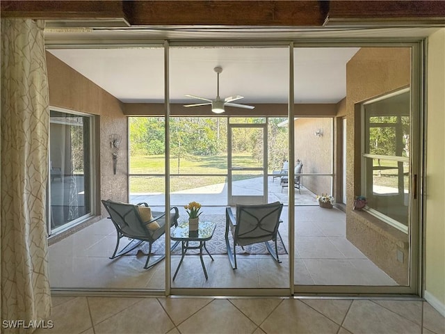 2910 2nd St NE, Naples, FL 34120 - sunroom with plenty of natural light