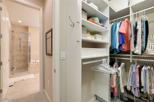 view of spacious closet