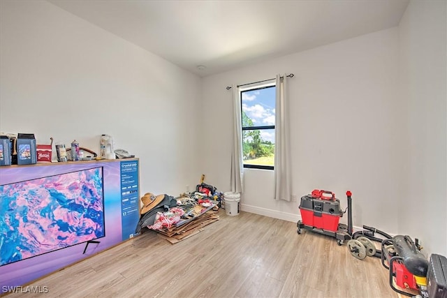 rec room with light hardwood / wood-style flooring