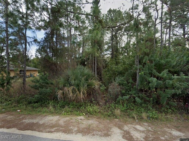 2241-2243 Fairway Dr, Lehigh Acres FL, 33973 land for sale