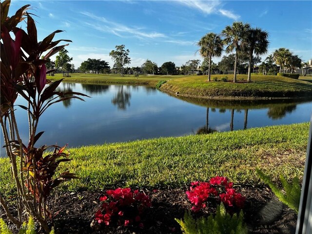 property view of water