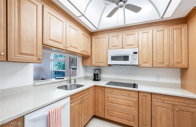 kitchen featuring ceiling fan, white appliances, and sink