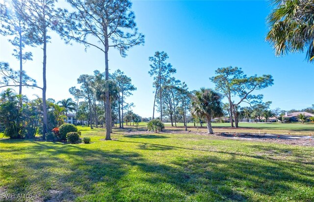 view of home's community with a lawn