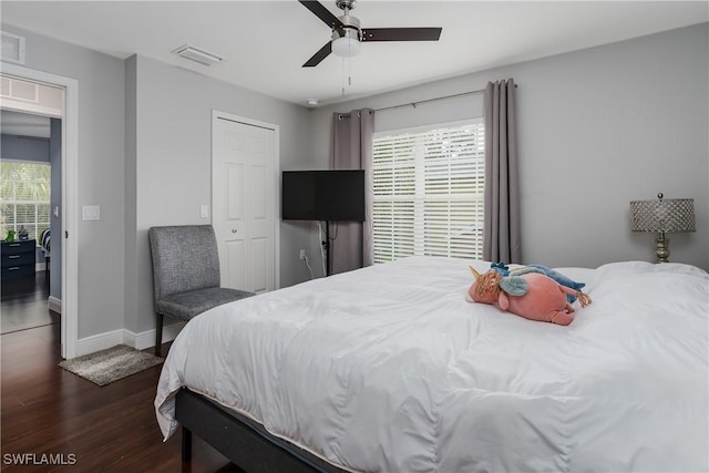 bedroom with dark hardwood / wood-style floors and ceiling fan