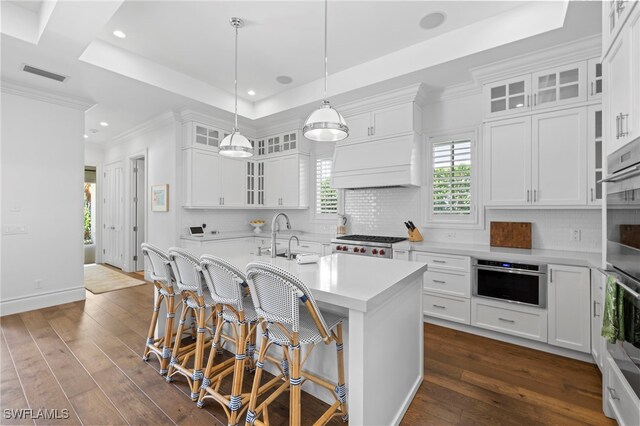 kitchen with premium range hood, an island with sink, sink, white cabinets, and a tray ceiling