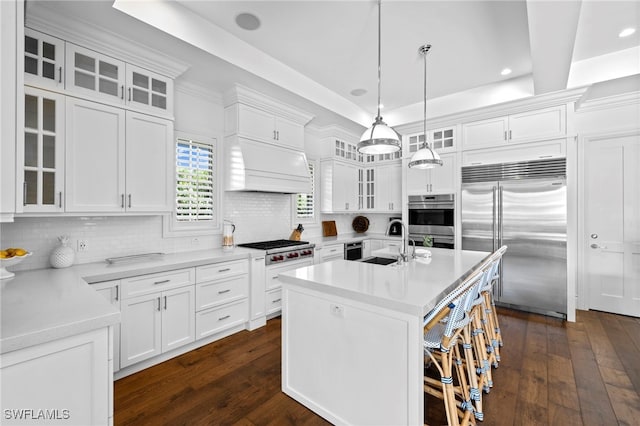 kitchen featuring premium range hood, appliances with stainless steel finishes, a sink, and dark wood finished floors