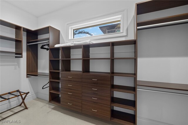 spacious closet featuring light colored carpet