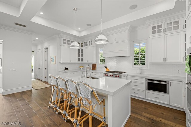 kitchen with white cabinetry, a raised ceiling, and an island with sink