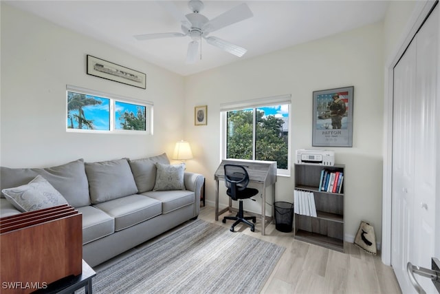 living room with ceiling fan and light wood-type flooring