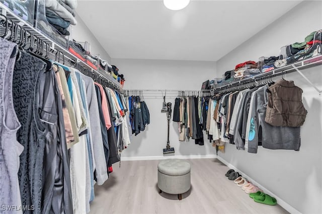 spacious closet featuring hardwood / wood-style flooring