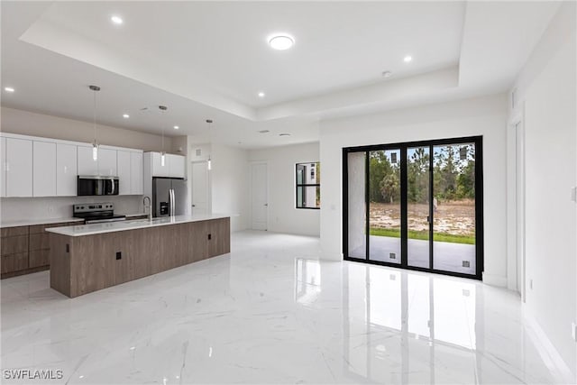 kitchen with stainless steel appliances, modern cabinets, a raised ceiling, a sink, and recessed lighting