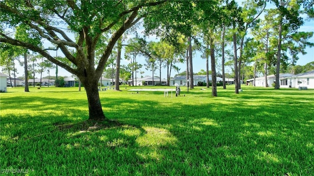 view of home's community with a lawn