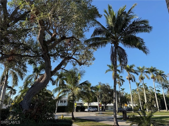 view of road